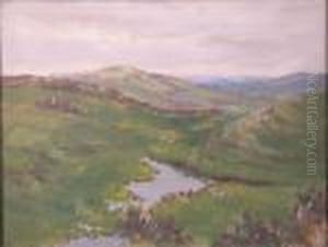 A Stream In A Moorland Landscape by Rowland Henry Hill