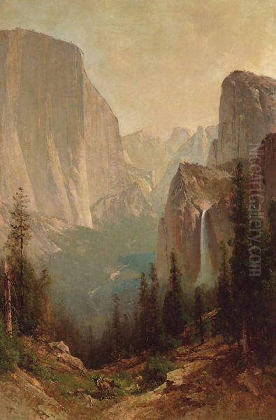 Early Morning, Yosemite Valley - view 1