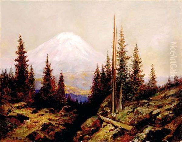 Mt. Shasta In The Distance - view 1