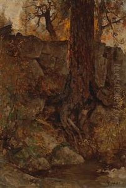 Old Tree Near A Pool - view 1