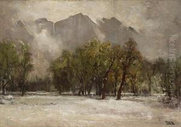 The Falls In Winter - view 1