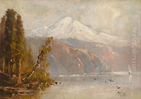 Edge Of A Lake - view 1