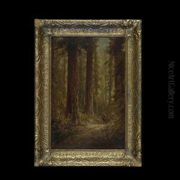 Travelers On A Path In The Redwoods - view 1