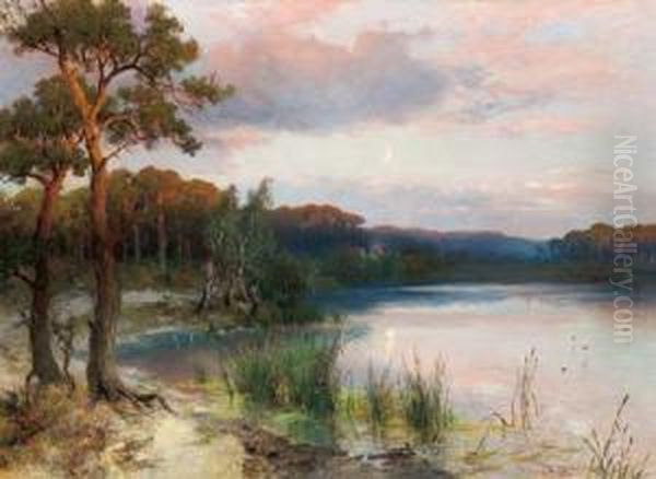 Seelandschaft - view 1