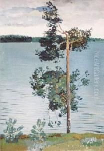 Samotna Sosna Nad Jeziorem (1936) by Karol Hiller