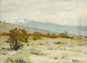 Desert Landscape With A Snow-capped Mountain