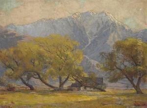 View Of San Jacinto by Anna Althea Hills