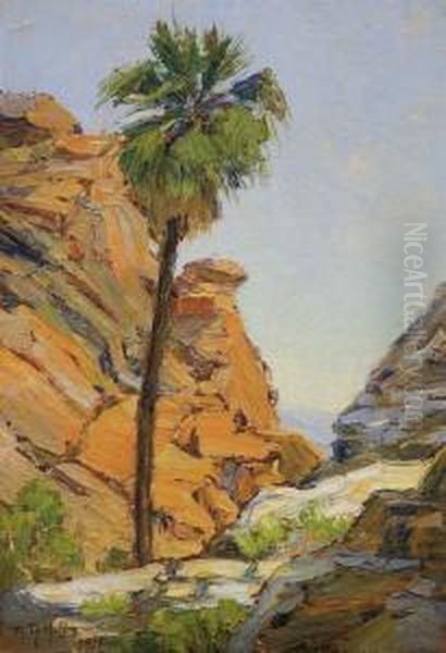 The Lone Palm - view 1