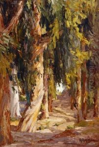 Eucalyptus In Fairy Wood - Laguna Beach