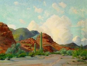 The Copper Hills by Anna Althea Hills