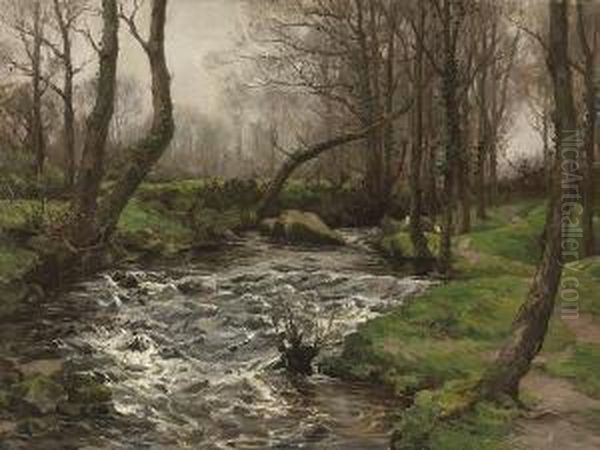 View Along A Brook - view 1