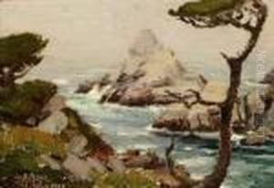 Pt. Lobos by Anna Althea Hills