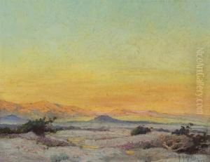 ''evening Glow, Palm Springs'' by Anna Althea Hills