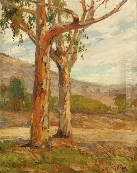 Eucalyptus In Summer - view 1