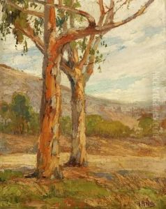 Eucalyptus In Summer by Anna Althea Hills
