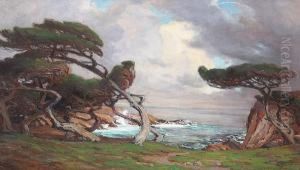 Windblown Cypress, Monterey by Anna Althea Hills