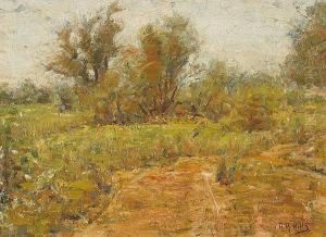 A Summer's Day