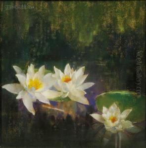 Waterlilies