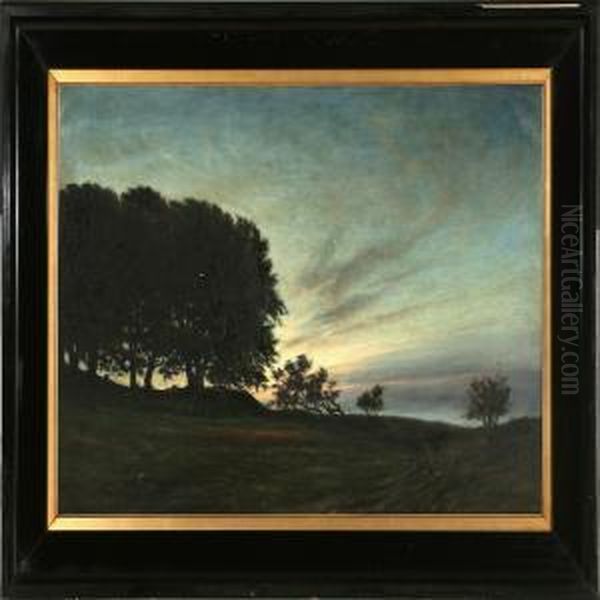 Summer Evening Landscape - view 1
