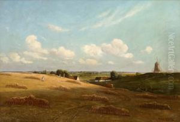 Skordelandskap - view 1