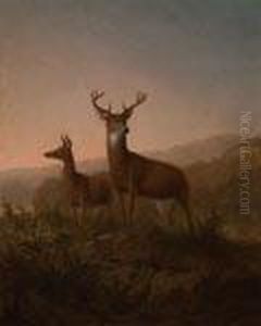 Deer On A Mountainside by Thomas Hewes Hinckley