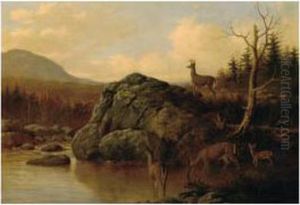 Deer In The Adirondacks by Thomas Hewes Hinckley