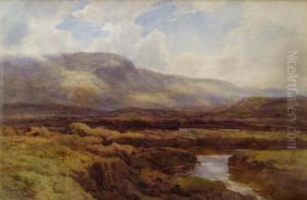 Moorland Landscape - view 1
