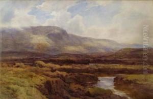 Moorland Landscape