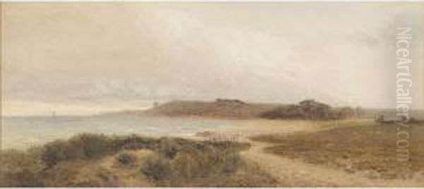 Coastal Scene - view 1
