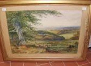 Sheep In An Extensive Landscape