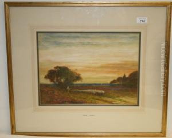 Shepherd With Sheep In Landscape - view 1