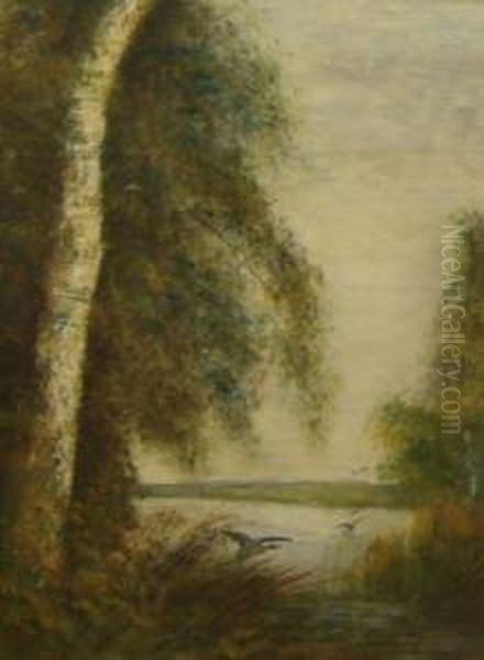 Ducks Alighting From A River - view 1
