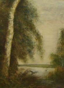 Ducks Alighting From A River