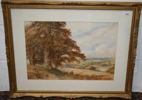 Extensive Landscape View With Harvest Scene - view 1