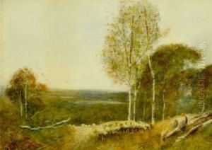 A Rest By The Wayside