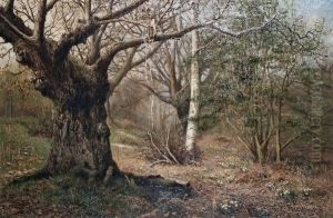 In The Woods At Hayes, Kent