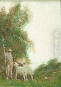 Shepherd Andsheep