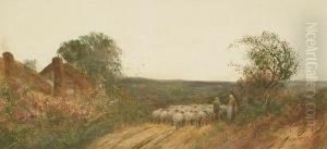 Sheep On A Country Lane