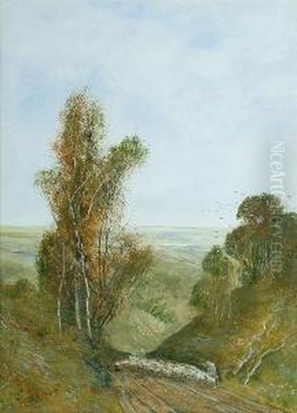 A Shepherd And His Flock - view 1