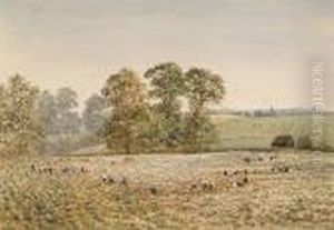 Harvest by Fred Hines