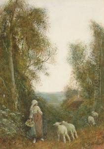 Lambs On A Rural Path