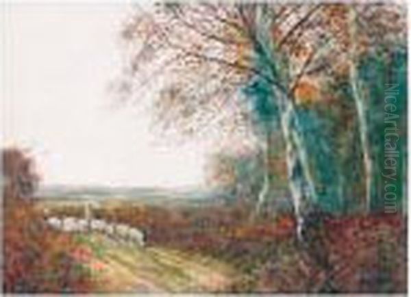 Herding The Sheep - view 1