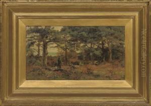 In A Fir Wood, Studland, Dorset by Theodore Hines