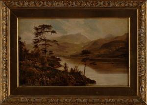 Loch Maree - view 1