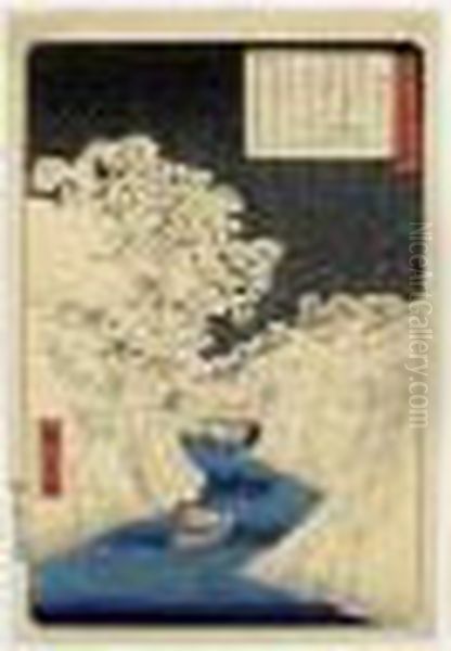 Ocha No Mizu. Ocha No Mizu Enneige - view 1
