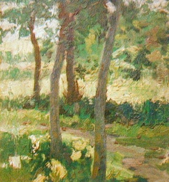 Pejzaz - view 1