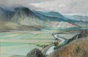 Hanalei Valley, Kauai by David Howard Hitchcock