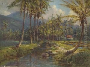 Hawaiian View by David Howard Hitchcock