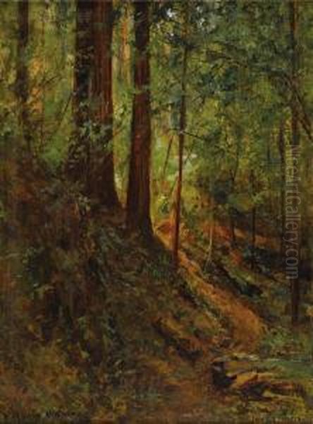 Forest Scene - view 1
