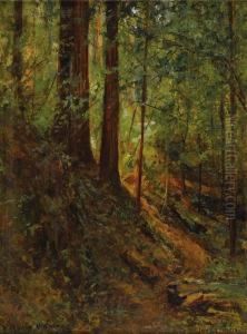 Forest Scene by David Howard Hitchcock